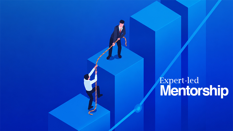 Expert-led mentorship